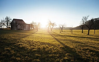 farm field